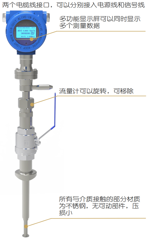 DN65熱式氣體質量流量計結構圖